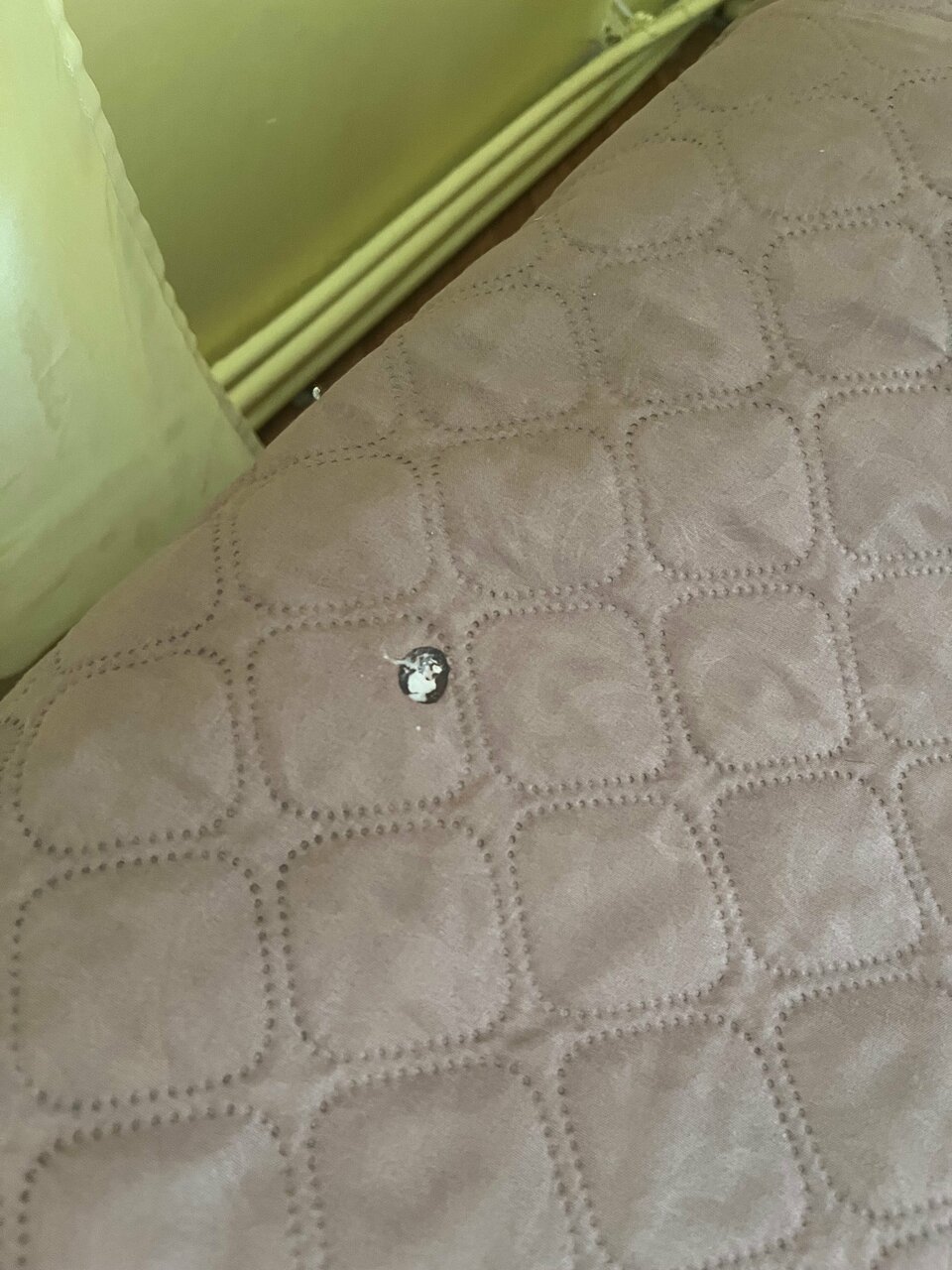 Гостиница Причал Калуга-115